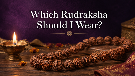 Which Rudraksha Should I Wear? Find the Right One for You