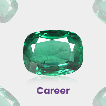 Career
