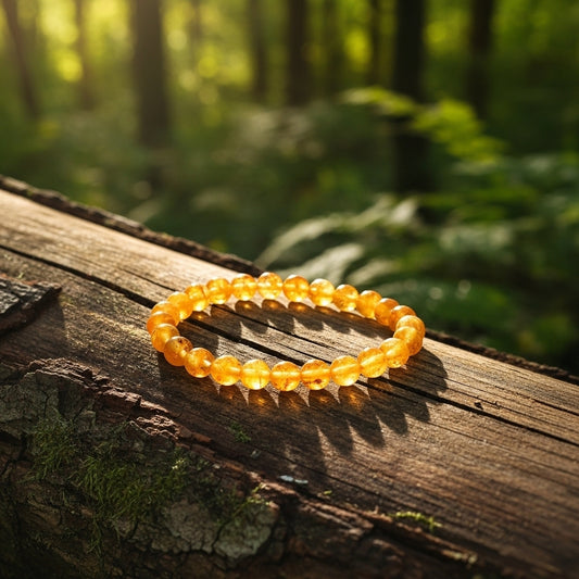 Money Magnet + Pyrite + Citrine Combo