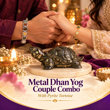 Metal Dhanyog Couple Combo with Pyrite Tortoise | Prosperity Set