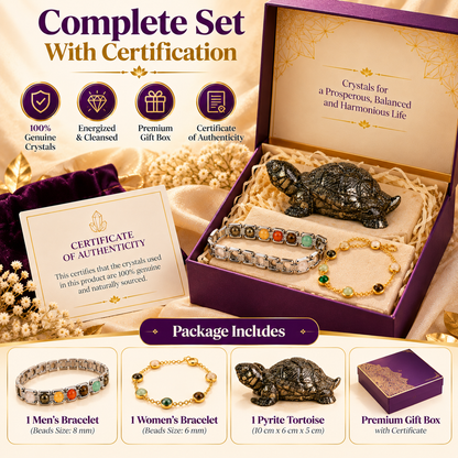 Metal Dhanyog Couple Combo with Pyrite Tortoise | Prosperity Set
