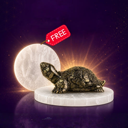 Vastu Pyrite Tortoise with Free Raw Selenite Plate