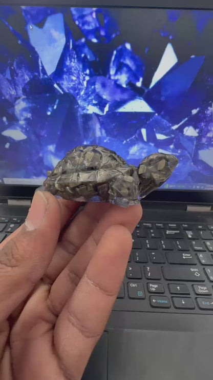 Vastu Pyrite Tortoise with Free Raw Selenite Plate
