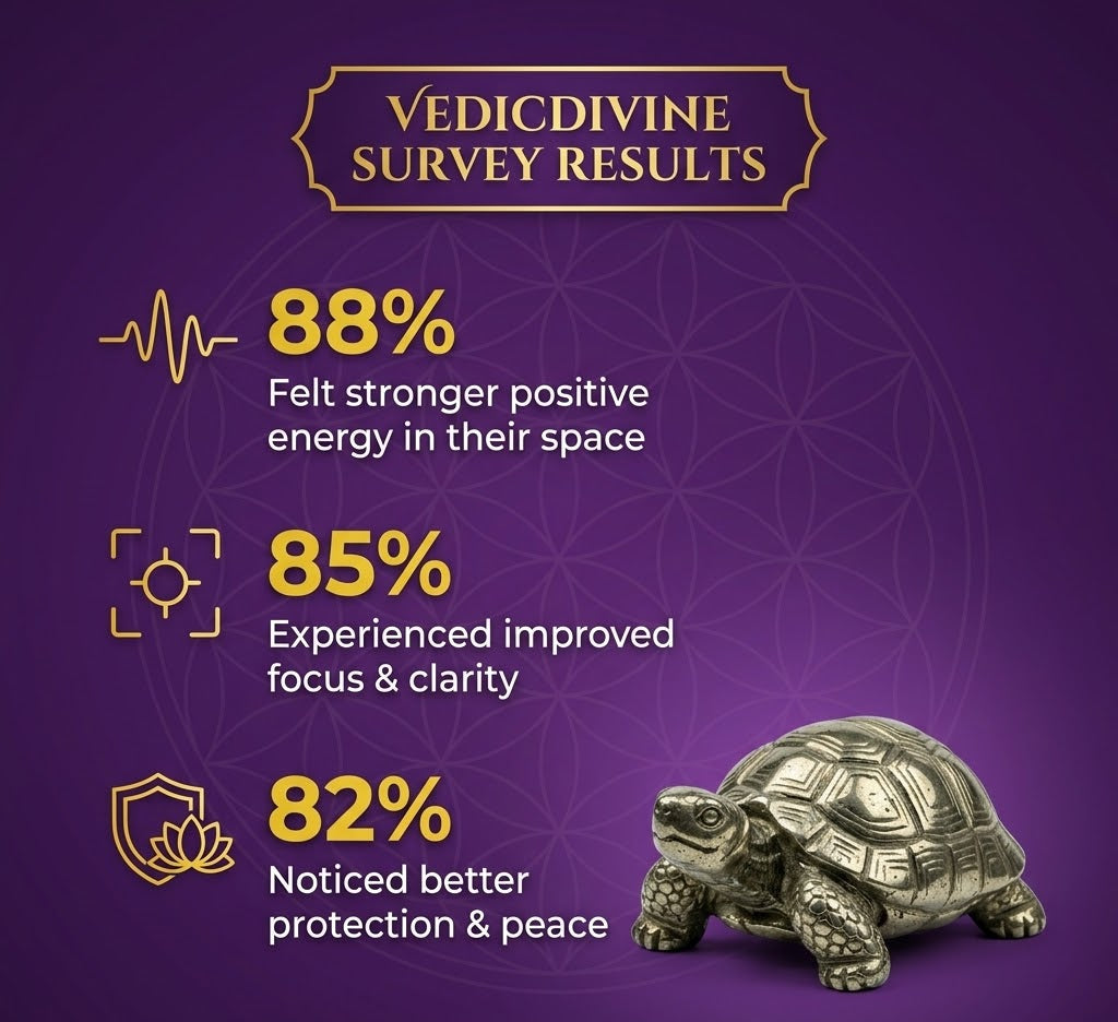 Vastu Pyrite Tortoise with Free Raw Selenite Plate