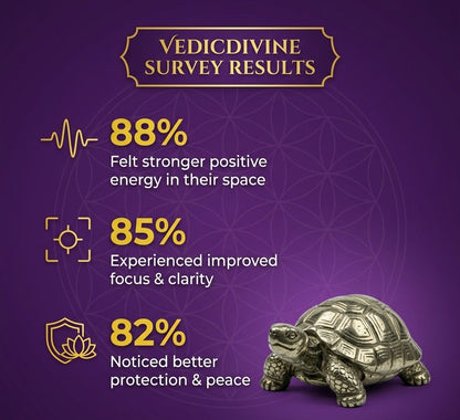 Vastu Pyrite Tortoise with Free Raw Selenite Plate