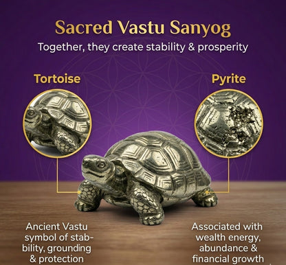 Vastu Pyrite Tortoise with Free Raw Selenite Plate